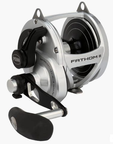 PENN Fathom II 80NLD2 Lever Drag 2 Speed REELS